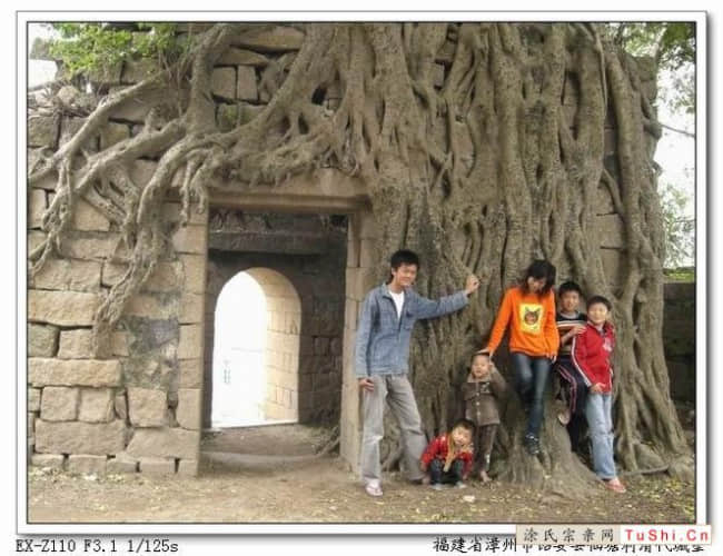 图片来自涂氏宗亲网