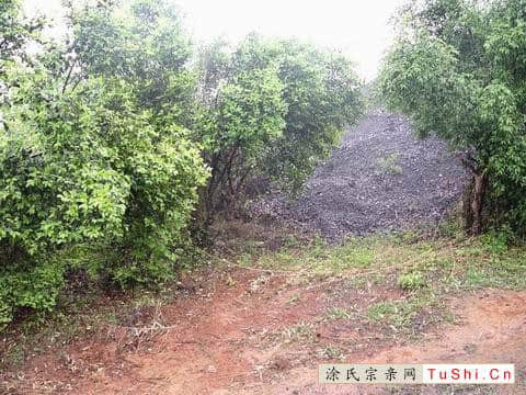 图片来自涂氏宗亲网