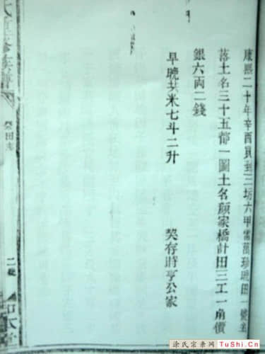 中华涂姓宗亲网