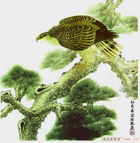 中华涂姓宗亲网