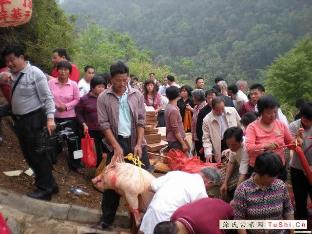 图片来自涂氏宗亲网