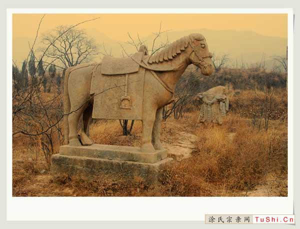 中华涂姓宗亲网