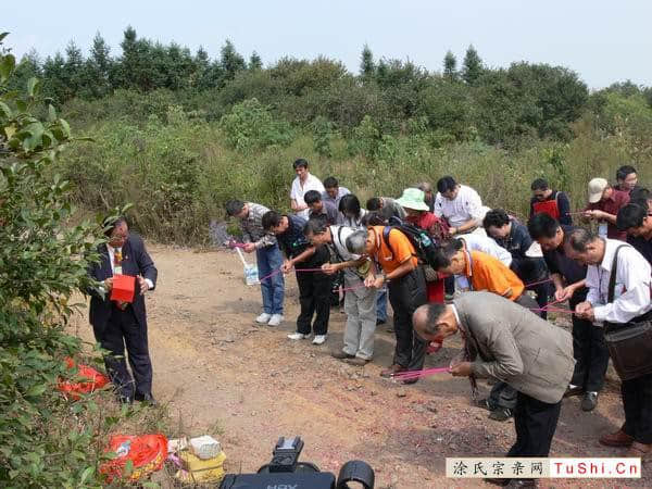 中华涂姓宗亲网