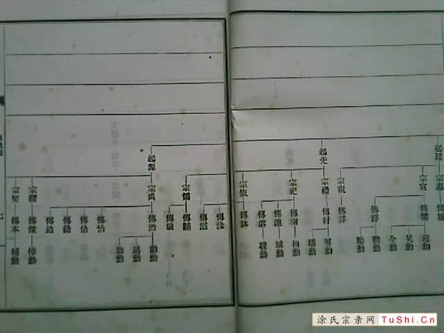 中华涂姓宗亲网