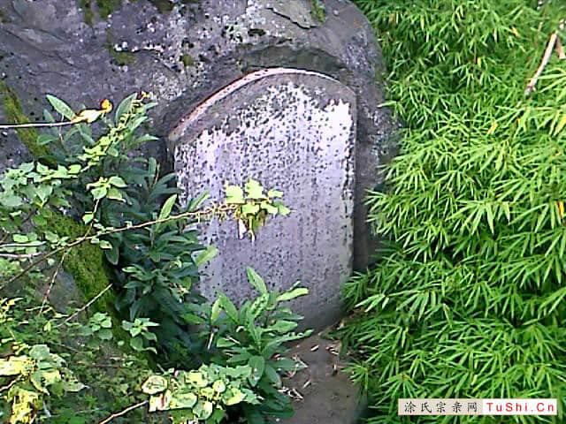 中华涂姓宗亲网