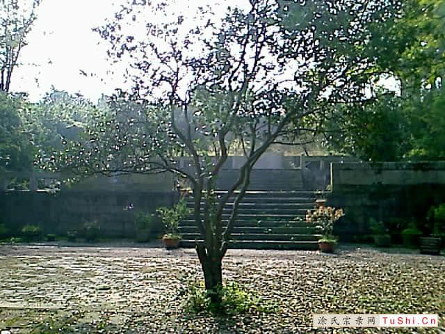 中华涂姓宗亲网