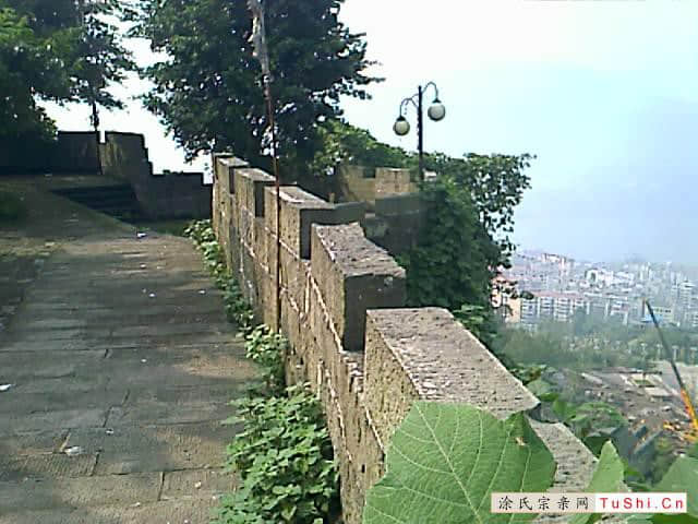 中华涂姓宗亲网