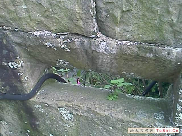 中华涂姓宗亲网