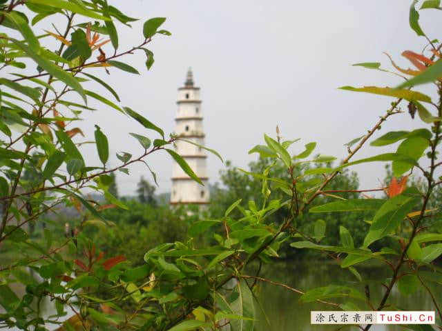 中华涂姓宗亲网