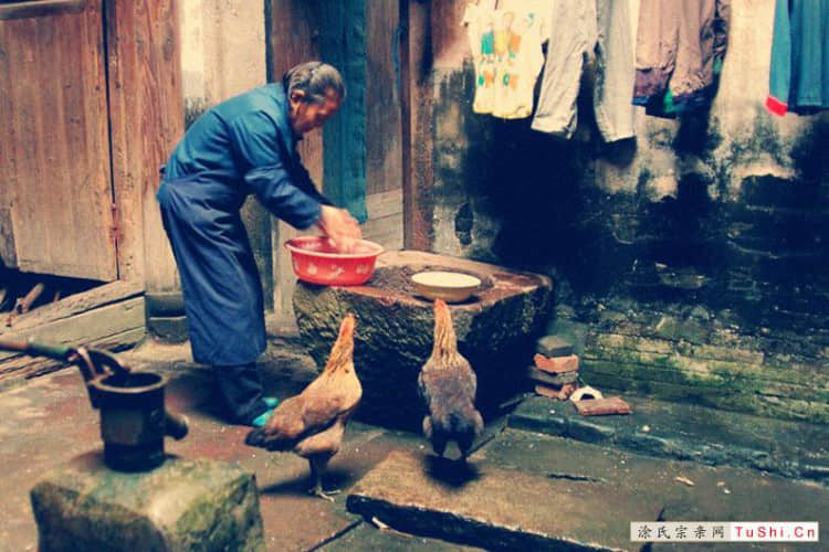 中华涂姓宗亲网