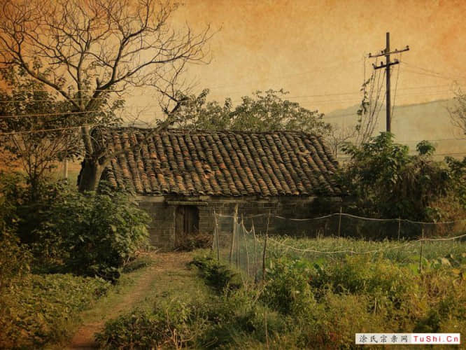 中华涂姓宗亲网